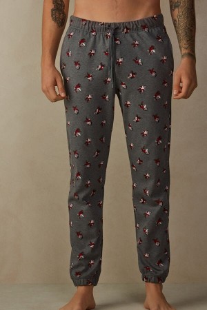 Intimissimi Bomull Interlock Grumpy Full Length Pants Pyjamas Herre Dyp Grå | NONB3181