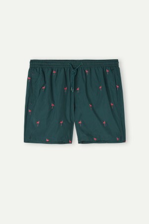 Intimissimi Embroidered Flamingo Badebukse Herre Mørke Grønn | NOOR3313