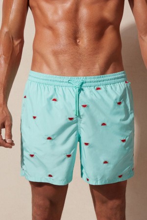Intimissimi Embroidered Watermelon Badebukse Herre Lyse Turkis Grønn | NONB3297