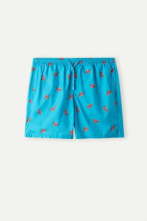 Intimissimi Lobster Print Badebukse Herre Påfugl Blå | NOXF3301
