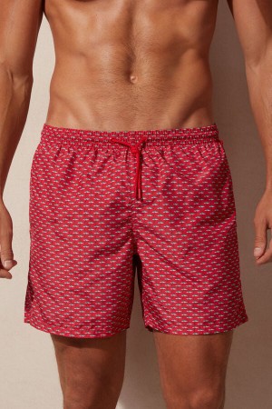 Intimissimi Micro Shark Print Badebukse Herre Rød Mørke Grå | NOPQ3312