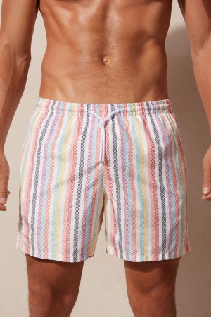 Intimissimi Multicolor Stripe Print Badebukse Herre Multicolor | NOMA3296