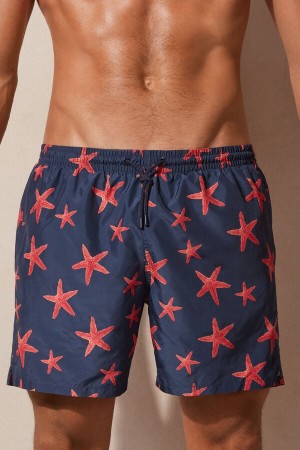 Intimissimi Starfish Print Badebukse Herre Blå | NOWY3294