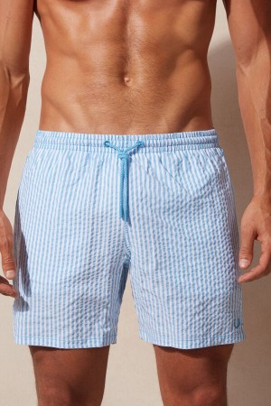 Intimissimi Stripe Print Seersucker Badeshorts Herre Hvite Lyse Blå | NOZG3328
